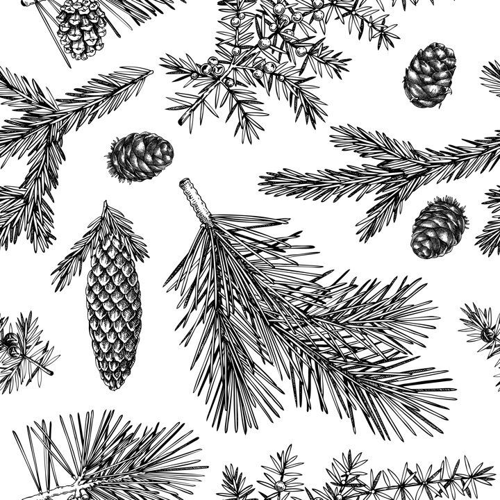 Winter garden seamless pattern. Christmas background. Conifer tree sketches. Hand-drawn vector illustration. NOT AI generated